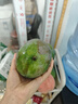 京鮮生 攀枝花凱特芒 凈重8.5斤 帶箱9斤 單果600g+ 生鮮水果 源頭直發(fā) 曬單實拍圖