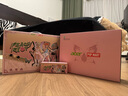宏碁（acer）非凡Go 國家補貼 泡泡瑪特聯(lián)名款 14英寸輕薄本 學生辦公筆記本電腦 (13代標壓i5 16G 1T 2.2K)粉 曬單實拍圖
