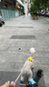 拉夫威爾ruffwear嗨輕狗狗胸背帶狗背帶中小型犬雪納瑞背帶式狗狗牽引繩 苔蘚綠 XS 曬單實(shí)拍圖