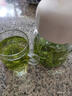 野生酸棗芽茶500g非神安好睡眠養生茶泰山酸棗葉茶山棗葉助眠茶 野生酸棗芽茶[250g]半斤袋裝 曬單實(shí)拍圖