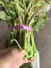 香椿芽新鮮野生頭茬紅油嫩芽當季香春葉菜椿芽蔬菜芽菜鮮嫩野菜 優(yōu)選香椿芽3斤裝 曬單實(shí)拍圖