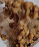 喜代美 山大納豆 北海道極小粒 日本進口 健康輕食 攪拌即食 40g*16盒 曬單實拍圖