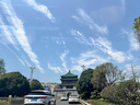 維多利亞旅行者足球襪兒童春夏專(zhuān)業(yè)運動(dòng)男款長(cháng)筒毛巾底吸汗高筒襪子學(xué)校比賽防滑 曬單實(shí)拍圖