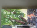 【贈(zèng)趣味書簽*2 包郵】慢慢來，好戲都在煙火里 汪曾祺、梁實(shí)秋、豐子愷、沈從文等16位名家寫給每一個(gè)人的生活之書 央視《朗讀者》深情朗讀、《人民日?qǐng)?bào)》盛贊推薦的名家散文 當(dāng)當(dāng)正版書籍 曬單實(shí)拍圖