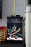 畫(huà)法幾何魚(yú)缸造景 小型魚(yú)缸米家智能魚(yú)缸專(zhuān)用蕨類(lèi)沉木造景套餐 曬單實(shí)拍圖