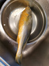 三都港 鮮凍原條黃花魚凈重2斤/2條 寧德大黃魚 海魚 生鮮 燒烤 曬單實(shí)拍圖