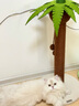 ZEZE椰樹立式劍麻貓抓柱不掉屑可愛貓玩具貓咪用品【甲醛0超標(biāo)】 曬單實(shí)拍圖