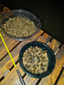 稻蝦村釣青魚(yú)脆螺鮮活掛鉤餌料螺螄薄殼釣魚(yú)螺打窩小號石螺螺絲翠螺田螺 打窩石螺5斤【 2.5kg 】 曬單實(shí)拍圖
