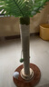 喵麗絲椰樹(shù)貓抓板立式貓抓柱貓爪板可替麻繩不掉屑貓玩具貓咪用品 椰樹(shù)貓抓柱【轉盤(pán)款】 曬單實(shí)拍圖
