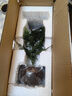 八芽文竹盆栽植物室內(nèi)客廳中式禪意盆景好養(yǎng)綠植辦公室擺件創(chuàng)意花卉 禪意盆文竹-含紫砂托盤 帶盆栽好 曬單實(shí)拍圖