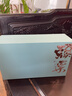 西湖江南茶葉自己喝綠茶2025明前龍井茶新茶送生日禮物貨品30g小罐裝 曬單實拍圖