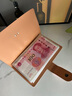 左蒂 現(xiàn)金存錢本收納冊防水存錢夾大容量保護套紀念鈔收藏紙幣錢幣理財袋票據(jù)收納夾 曬單實拍圖