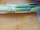 農(nóng)家自種精品山東大蔥特級(jí)新鮮鐵桿長(zhǎng)白蔥農(nóng)家毛蔥香蔥現(xiàn)挖便宜 山東大蔥（帶老皮）帶箱 1斤 曬單實(shí)拍圖
