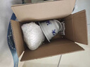 怡泉池金琥 大號 超大仙人球 金冠 辦公桌盆栽植物防輻射 直徑12-13公分左右送專(zhuān)用肥 不含盆 曬單實(shí)拍圖