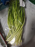 【有機】韭菜250g 曬單實拍圖