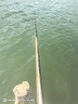 佳釣?zāi)岷Ｌ男驴钶p量大物竿鰱鳙魚竿手桿鰱鳙竿極輕量大物竿臺(tái)釣竿 7.5m 海棠大物竿 輕量大物竿 曬單實(shí)拍圖