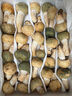 云南新鮮野生青頭菌 野生菌未開(kāi)傘骨朵 綠頭菇精選級(jí)現(xiàn)貨順豐空運(yùn) 250g野生青頭菌【精選·未開(kāi)傘】 曬單實(shí)拍圖
