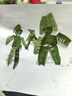 萬火玩具男孩生日禮物兒童7-14歲10男童玩具8-12歲黑科技科學(xué)實(shí)驗(yàn)套裝 曬單實(shí)拍圖