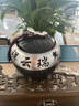 冠君軒品茶葉禮盒裝高檔送禮送人正山小種紅茶特級(jí)金駿眉2025年新茶大紅袍 250g國風(fēng)雅器雙陶瓷罐龍井 曬單實(shí)拍圖
