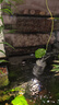 喜瑞德國原裝進(jìn)口喜瑞環(huán)魚缸濾材陶瓷環(huán)喜瑞呼吸玻璃環(huán)過濾養(yǎng)水培菌 分裝小環(huán)經(jīng)典版580g/2L 曬單實拍圖