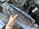 跑山密水農家【冰鮮】水庫黑魚2斤 活魚現殺烏魚 燒烤 寶寶食材源頭直發(fā) 曬單實拍圖