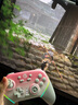 蓋世小雞（GAMESIR）超新星無線游戲手柄帶底座 適用switch2手機(jī)PC安卓Steam電腦NS2pro電視體感藍(lán)牙有線粉色雙人成行 曬單實拍圖