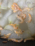 良時海 南極磷蝦米 去頭去殼磷蝦仁肉 500g/袋 淡干海產(chǎn)干貨 包郵 曬單實拍圖