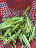 辰實【順豐】黃花菜新鮮 忘憂草 金針菜蔬菜當季時令蔬菜 1斤 【現(xiàn)摘 時令蔬菜】 曬單實拍圖