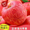 洛川蘋果洛川紅富士蘋果陜西特產(chǎn)時令生鮮水果產(chǎn)地直發(fā) 健康輕食 10斤大果80-85mm（凈重8.5斤） 曬單實拍圖