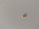 伊利奶粉金領(lǐng)冠睿護3段800g幼兒配方奶粉三段1-3歲草飼新配方 三段800g【添加乳鐵蛋白】 曬單實拍圖