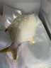 環(huán)球水產(chǎn)冷凍南海金鯧魚2斤/2條 生鮮魚類 火鍋 深海魚 海鮮水產(chǎn) 家庭聚餐 曬單實拍圖