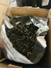 慧智謙恩2025年茉莉花茶高碎茶葉高沫茉莉香片老北京大碗茶500克袋裝 曬單實(shí)拍圖