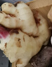 滇鮮生云南本地農家自種仔姜 新鮮食材新姜產(chǎn)地直發(fā)嫩生姜 農家當季新姜 農家優(yōu)選新姜1500g 曬單實(shí)拍圖