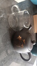 豪峰經(jīng)典2025新款原礦紫砂壺整套茶具套裝家用單個(gè)茶壺泡茶器教師節(jié)禮物 A款 紫砂山竹茶壺 200ML-禮盒裝 曬單實(shí)拍圖