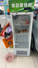 揚子立式冷藏保鮮幼兒園展示柜食品留樣帶鎖餐廳冰箱商用食堂展示 白50*53*153cm 溫度顯示+雙鎖款 曬單實(shí)拍圖