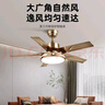 鉆石牌（DIAMOND）風(fēng)扇燈吊扇燈led客廳帶燈吊扇北歐現(xiàn)代簡(jiǎn)約變頻電風(fēng)扇三色變光WY 52寸五葉【一級(jí)能效】6檔遙控 曬單實(shí)拍圖