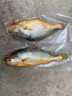 昕品方【高品質(zhì)】大黃魚鮮活船凍生鮮國(guó)產(chǎn)舟山東海特大黃花魚魚類海鮮禮 大黃魚禮盒1條裝[9兩-1.2斤/條]黃色禮盒 曬單實(shí)拍圖