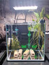 京業(yè)（JINGYE）魚缸過濾器JY-W255款6W壁掛式過濾泵除油膜瀑布過濾器流量可調(diào) 曬單實拍圖