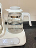 spedu恒溫壺嬰兒沖奶寶寶奶瓶消毒烘干一體機恒溫水壺溫奶暖奶器二合一 1.3L 消毒+烘干+調(diào)奶 曬單實拍圖