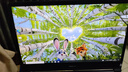 聯(lián)想（Lenovo)拯救者15.6寸Y7000/R9000P高刷電競游戲本i73060二手筆記本電腦 95新②⑥R7000P R7-5800H 3060 高配16G內(nèi)存+512G固態(tài) 曬單實拍圖
