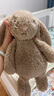 Jellycat害羞米色邦尼兔動(dòng)物毛絨玩偶安撫公仔娃娃生日七夕情人節(jié)禮物 米色 Medium 曬單實(shí)拍圖