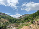 林爵新中式太陽(yáng)能戶(hù)外壁燈防水別墅庭院大門(mén)圍墻燈室外長(zhǎng)條壁燈接電款 接電款【銅色中式款】60CM 曬單實(shí)拍圖