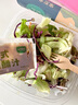 一號(hào)農(nóng)場(chǎng)活力蔬菜沙拉碗6種蔬菜開(kāi)盒即食輕食健身代餐160g*3碗源頭直發(fā) 曬單實(shí)拍圖