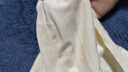 貓人A類嬰兒棉女士內(nèi)褲女10A桑蠶絲抑菌襠中腰透氣女生三角褲4條裝L 曬單實拍圖