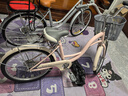 鳳凰 自行車城市輕便通勤車女式學生復古公主車成人單車22寸 青春花語 新款花語22寸櫻花粉 曬單實拍圖