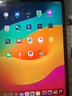 蘋(píng)果 Apple iPad Pro 11/12.9英寸/2020/21/22/24年新款M1M2芯片二手平板電腦 (M1芯片)21款11寸Pro-128G 99新【堪比新機】 曬單實(shí)拍圖