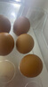 都爾霍姆（DUEHOLM） OMEGA-3有機雞蛋 300枚（50枚*6盒） 13.2kg DHA孕婦寶寶家庭蛋 曬單實(shí)拍圖