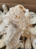 【云南】竹蓀干貨無硫短裙織金竹笙特產(chǎn)味道清香鮮美竹蓀煲湯食材 干竹蓀1袋裝【250g/袋】 曬單實拍圖