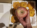 正宗煙臺蘋果棲霞紅富士脆甜新鮮水果整箱生鮮蘋果水果 凈重4.5斤80mm 曬單實拍圖