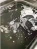 范莎瑪超聲波金屬清洗劑水基清洗劑中性金屬除油劑銅件鋁件鍍鋅板除油劑 5公斤 曬單實拍圖
